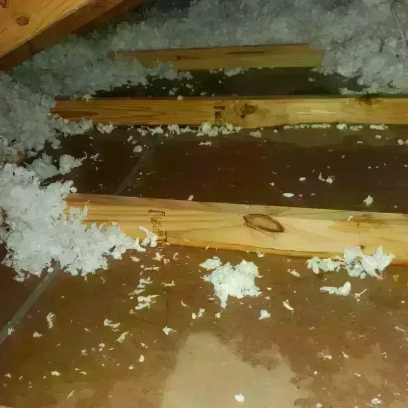 Attic Water Damage in Marvin, NC