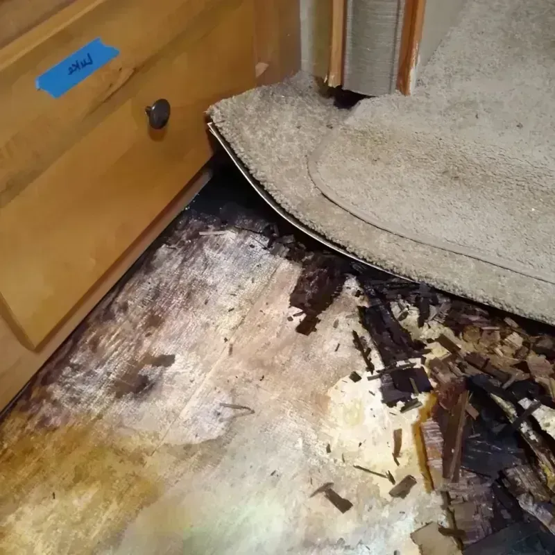 Wood Floor Water Damage in Marvin, NC